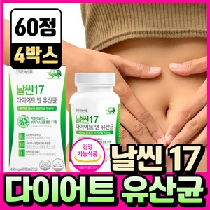 BNR17 비에날씬 유산균 다이어트 bnr17 식약청인증 캡슐 비엔알17 / 날씬17 다이어트 엔 유산균, 4개, 60정