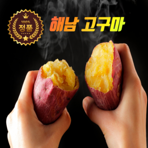 [오늘담음] 꿀고구마 산지직송 고당도 해남 세척 국내산 한입 중사이즈, 1박스, 3kg(중)