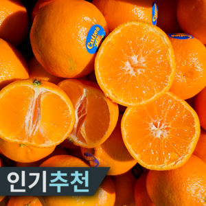 [재구매율97%] 15bix 당도선별 만다린 귤, 1개, 3kg 특상품