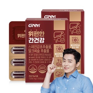 [위건강 간건강] GNM 위편한 간건강 밀크씨슬 실리마린 스페인감초추출물, 30정, 2개