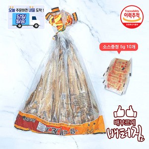 (당일출돼지) 특대 용태 연변짝태 짝태 한봉10마리+편이양념10개, 1개, 1.5kg