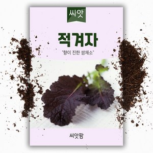 적겨자 씨앗(2000립) 쌈채소씨앗, 1개