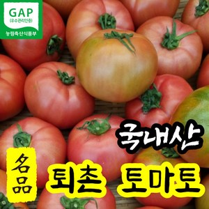 국산 꿀 퇴촌토마토 광주 찰 완숙 벌수정 2kg 당일수확 명품 프리미엄 퇴촌 토마토 달달한 설탕 2키로 속이 꽉 찬 고품질 산지직송, 2kg (중~대과), 1개