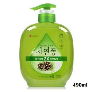 자연퐁 찌든때 걱정없는 솔잎 주방세제 용기형, 490ml, 2개