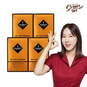 골드 카무트효소 [카무브 브랜드밀발효효소 40%], 90g, 4개