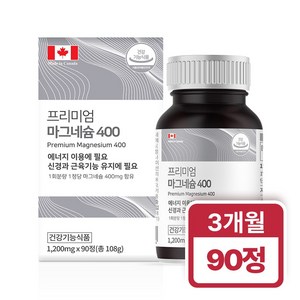 힐링팩토리 프리미엄 마그네슘 400, 1개, 1200mg