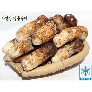 자연산 냉동송이 송이버섯 백두산송이버섯 햇송이 500g 1kg 명절 거래처선물, 1개, 가정용/파손품 500g