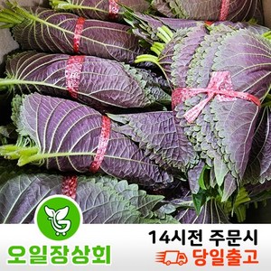 오일장상회 국내산 깻잎 2kg내외 4kg내외, 1개, 1.8kg~2kg