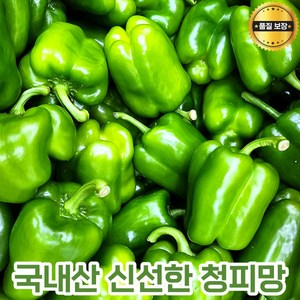 국내산 청피망 못난이피망 피망 아삭아삭 싱싱한피망 국산 로컬푸드 파프리카 청색 초록채소 산지직송 선별피망, 10kg, 1개