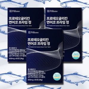 프로테오글리칸 연어코연골추출물 600mg 식약처 HACCP 인증, 60정, 3개