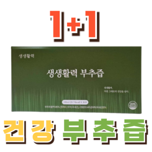 국내산 건강 부추즙 선물 1+1, 2세트, 100ml