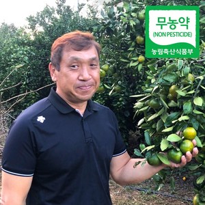 (자연마을) 제주 무농약 노지감귤 밀감, 1개, 3kg L, 무농약 감귤