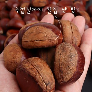 부여군 24년 햇밤 칼집밤 뜨래밤 군밤용(19회 부여군알밤대축제), 1개, 2kg 특