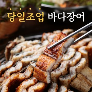 [자연산] 국내 통영 바다장어 손질 장어, 1개, 1kg
