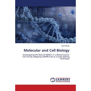 (영문도서) Molecula and Cell Biology Papeback, LAP Lambet Academic Publis..., English, 9786207476671