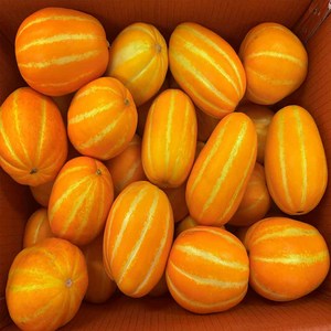 농부곳간 고당도 정품 성주 꿀 참외, 1개, 참외 대과 3kg 7-10과
