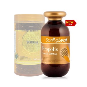 호주 호마트 스프링리프 Sping Leaf 프로폴리스 2000mg 365정, 1개