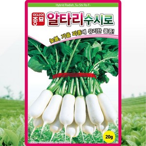 솔림텃밭몰 알타리무씨앗 20g 수시로알타리 사계절 수시로 가능, 1개