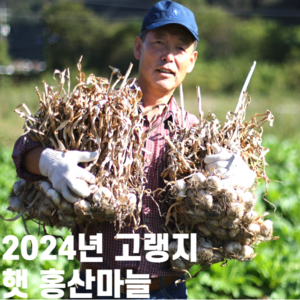 2023년 햇마늘 홍산마늘 통마늘 1kg 3kg 5kg, 3kg 중, 1개