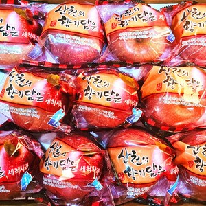 경북 부사 가정용 세척사과 2kg 소과 (14-16과 내외) 외, 1개, 02_세척사과 5kg 소과 (29-31과 내외)