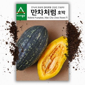 만차처럼 단호박 씨앗 (10립) 장타원형 고당도, 1개