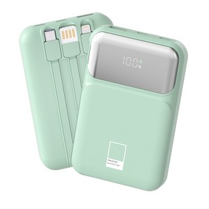 팬톤 PD 22.5W 초고속충전 대용량 케이블 일체형 미러 보조배터리 10000mAh PGB-20, Summer Leaf