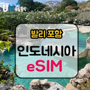 eSIM 인도네시아 이심 데이터 무제한 e심 XL 텔콤셀 핫스팟 발리이심, 30일, 매일 1GB, 데일리플랜, 1개