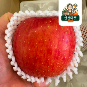 [산지직송] 1년 내내 먹는 경북 정품 부사 재주문 높아요, 1개, 5kg 중대사이즈