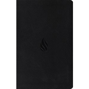 (영문도서) Gift Bible-ESV-Flame Design Imitation Leathe, Cossway, 9781433550621, Cossway Bibles