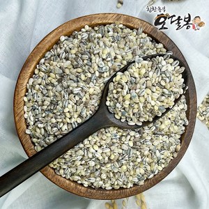 힘찬농부오달봉 국산 오색보리 (늘보리 청보리 찰보리 흑보리 자색보리), 1개, 10kg(5kg 2봉)