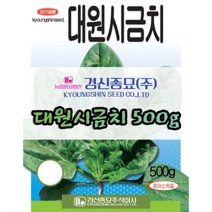 경신종묘 대원시금치 500g 파종용 시금치 씨앗 종자, 1개