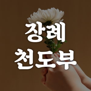 장례 천도 부적, 천룡승천부