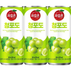 해태 과일촌 드링크 청포도 240ml, 60개