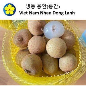 냉동 용안(롱간) 500g Nhan Dong Lanh 원산지 : 베트남, 2개