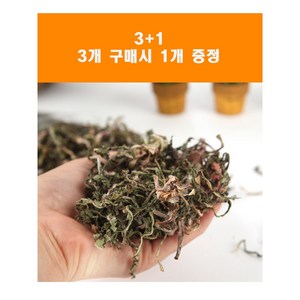 에밀리펫 자연담은 민들레 4개 1개 덤 증정 토끼간식 토끼먹이, 4팩