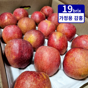 감홍 사과 초특가 가정용 한정세일, 1개, 5kg