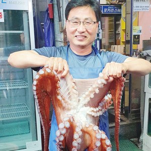 백두대간농수산 경북 영주 자숙 문어 슬라이스 800g 동해 참문어 크기 소 중, 800g(소), 1개