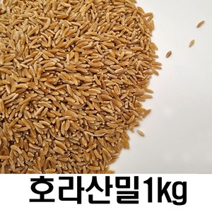 밥보야 수입 호라산밀 1kg 카뮤트 쌀, 1개