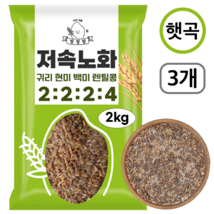 [쌀쌀쌀] 저속노화 렌틸콩 귀리 혼합 잡곡 밥 100% 햇곡, 3개, 2kg