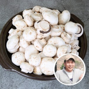 전대표 부여 못난이 양송이버섯 산지직송 ugly white button mushroom, 1개, 2kg