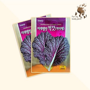 미래웰빙 적갓 겨자채 2000립 미래종묘 잎채소류 씨앗, 1개