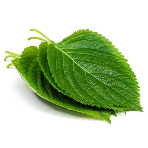 [1인분만] 국내산 향이 진한 싱싱한 깻잎, 70g, 1개