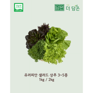 [친환경 무농약] 유러피안 샐러드 상추 채소 3~6종 1kg 2kg 로메인 버터헤드 크리스탈 유러피안 샐러드 스마트팜 수경재배( 전북 김제) 유러피안샐러드상추 쌈채소, 혼합, 1개