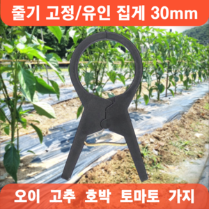 농사용 작물 집게 30mm 오이집게 고추 호박 가지 유인 비닐하우스 5호, 100개