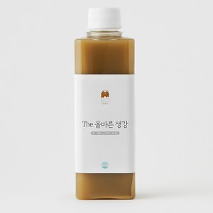 무설탕 생강착즙액 100% 더 올바른 생강원액 400ml, 1개, 1개입