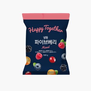 [생활앤] 냉동 파이브베리 500g x 2개