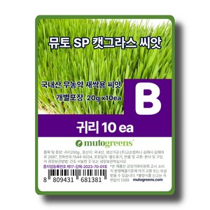 뮤토 SP 캣그라스 국내산 무농약 새싹용 씨앗, 10개, 20g, B 귀리