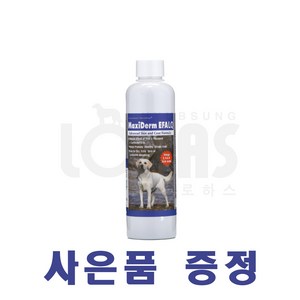 협성로하스 맥시덤리퀴드 반려견 오메가3 피부 모발 케어 220ml + 샴푸/컨디셔너 샘플 증정, 1개