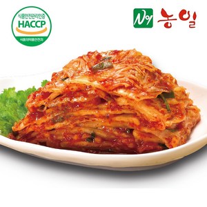 농일 배추 김치 썰은 맛김치 절단김치 10kg, 2개