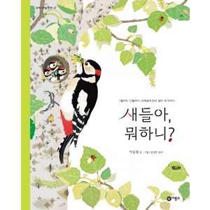 새들아 뭐하니?:1월부터 12월까지 산책길에 만난 열두 새 이야기, 비룡소